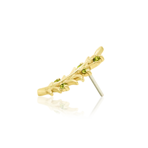 Junipurr Olive Branch 14k Threadless End - Afbeelding 2