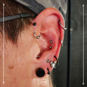 Fresh double conch