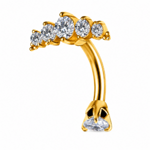 Stainless Steel Externally Threaded Banana Barbell with zicronia Arch – Gold