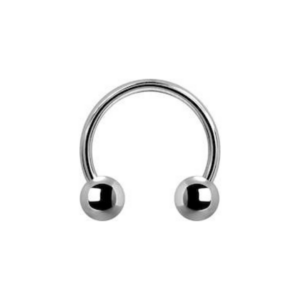 Titanium Circular Barbell - Silver