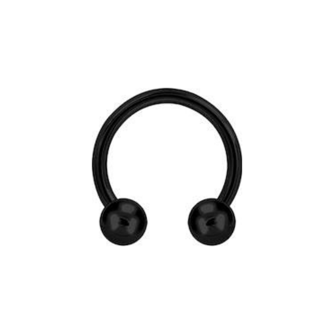 Stainless Steel Circular Barbell - Black